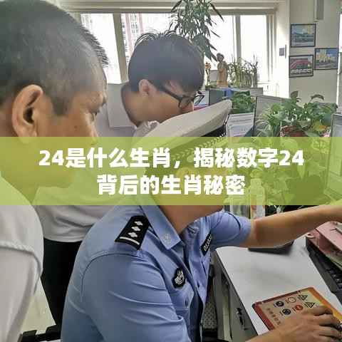 揭秘数字背后的生肖秘密,24代表什么生肖?