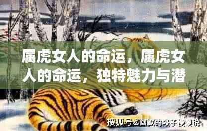 属虎女人的命运,独特魅力与潜在力量揭秘