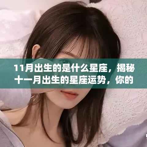 揭秘十一月出生的星座运势,星座是否决定人生轨迹?