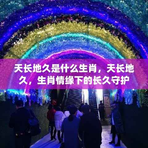 天长地久的生肖情缘,长久守护的生肖之谜