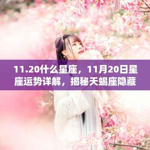 揭秘天蝎座潜能与机遇,11月20日星座运势详解及星座特征分析
