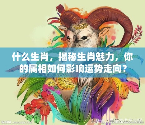 揭秘生肖魅力,属相如何影响运势走向?