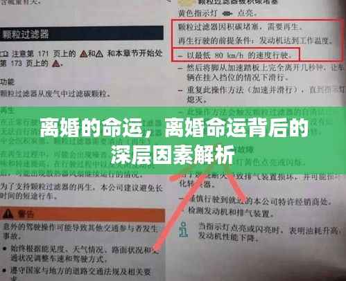离婚命运揭秘,深层因素解析与探讨