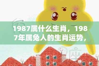 揭秘生肖兔,1987年属兔人的命运轨迹与人生起伏解析