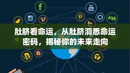 肚脐洞悉命运密码,揭示未来走向的奥秘