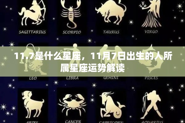 11月7日出生者的星座运势解读,揭秘天蝎座特性与运势