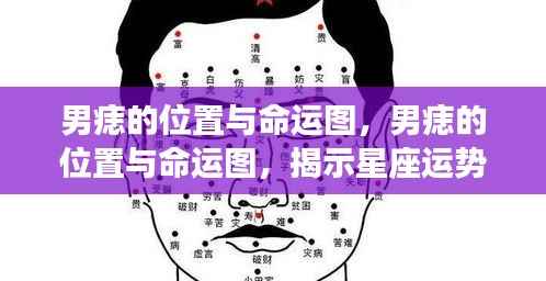 男痣位置揭秘,星座命运图里的神秘符号与运势解读