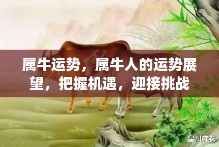 属牛人的运势展望,把握机遇,迎接挑战,展望美好未来