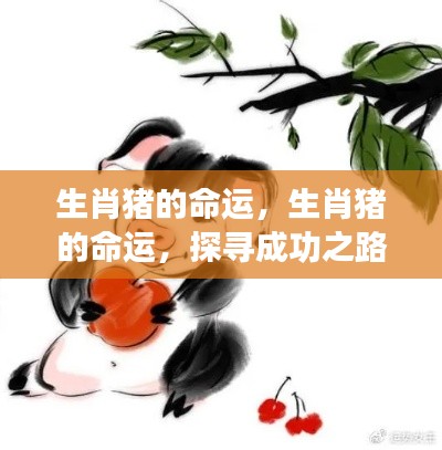 生肖猪的命运探索,机遇与挑战并存的成功之路