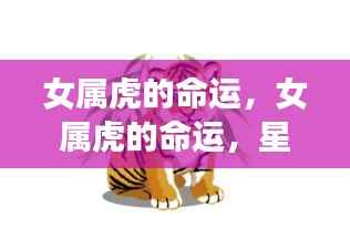 女属虎的命运解析,星座运势与个性特质探讨