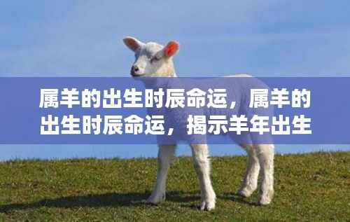 羊年出生时辰与命运,揭示属羊人的神秘命运之旅