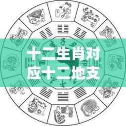 十二生肖与十二地支,星运交织的奥秘探索