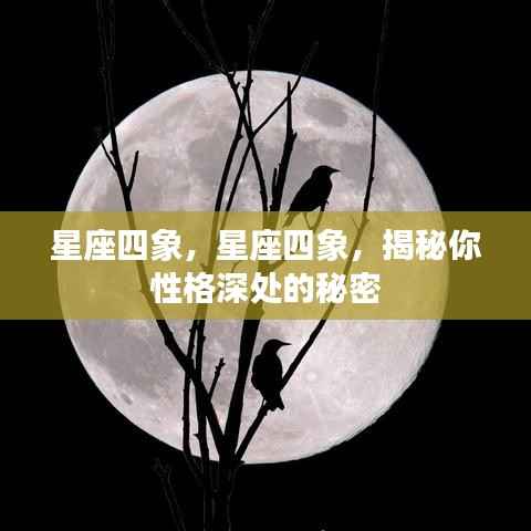 揭秘星座四象,探寻性格深处的秘密真相