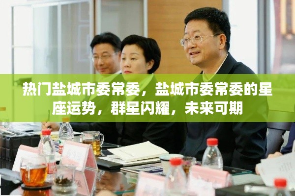 盐城市委常委星座运势展望,群星闪耀,未来可期