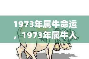 1973年属牛人的命运展望与解析