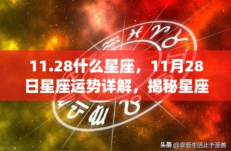 揭秘11月28日星座运势与性格特质,星座走向大解析