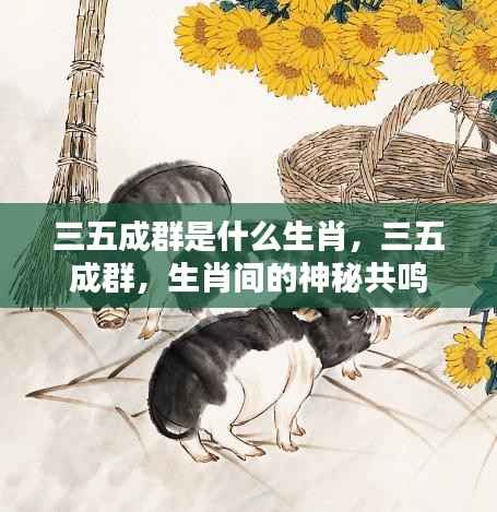三五成群背后的生肖神秘共鸣