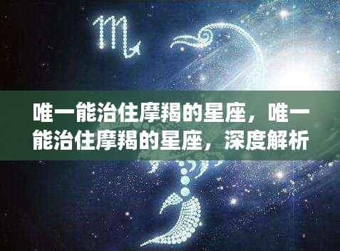 唯一能够驾驭摩羯的星座,深度解析与案例分析