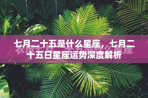 七月二十五日星座运势深度解析,探寻星座奥秘,掌握未来运势