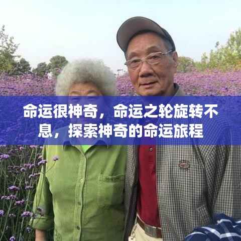 命运之旅,探索命运之轮的神秘旋转