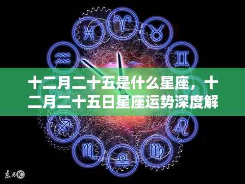 十二月二十五日星座运势深度解析,探寻星座奥秘