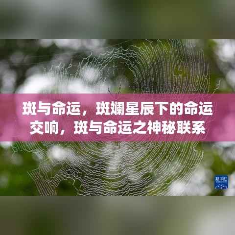 斑与命运,星辰下的神秘交响与命运联系探寻