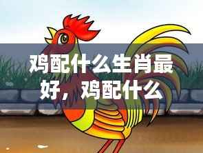 鸡配什么生肖最佳?生肖相性深度解析!