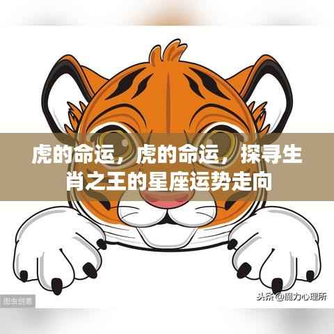 生肖之王揭秘虎的命运星座运势走向