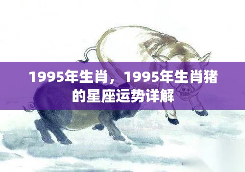 1995年属猪星座运势详解,生肖猪的星座运势大揭秘