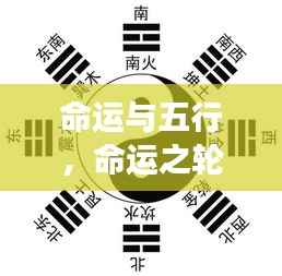 五行与星座运势,命运之轮如何被五行影响?