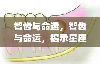 智齿与命运,星座运势中的隐秘联系揭秘