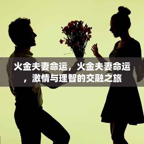 火金夫妻命运,激情与理智的交融之旅