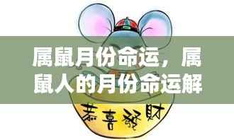 属鼠人的月份命运解析与特点总结