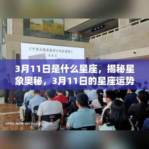 揭秘星象奥秘,3月11日星座运势解析及运势展望