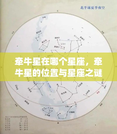 探寻夜空中最亮的指引之星,牵牛星的位置与星座之谜解析
