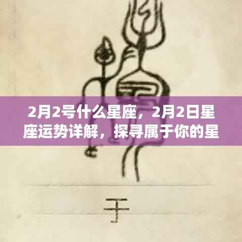 2月2日星座运势揭秘,探寻属于你的星辰轨迹