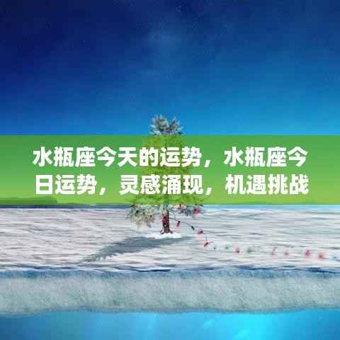 水瓶座今日运势,灵感涌现,机遇挑战并存