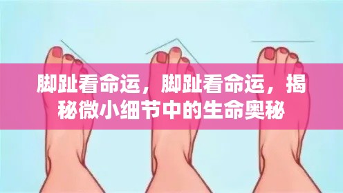 脚趾奥秘揭秘,微小细节揭示命运之门