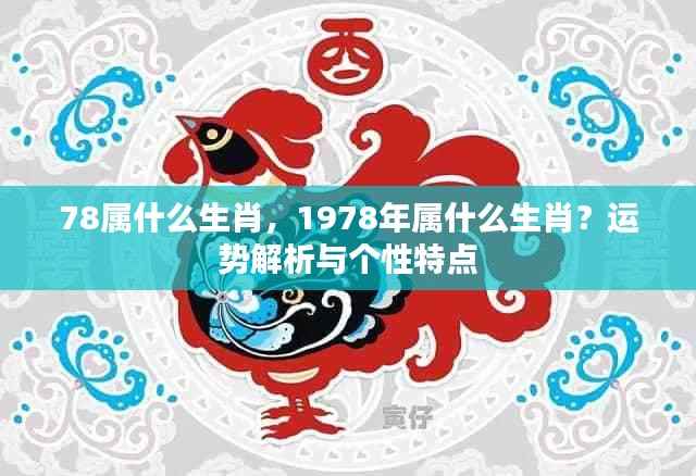揭秘生肖运势,揭秘属马人在1978年的个性特点与运势解析