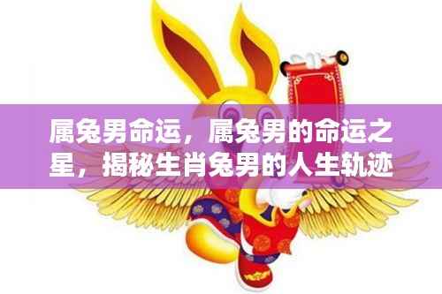 属兔男命运揭秘,探寻生肖兔男的人生轨迹与命运之星