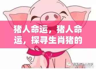 生肖猪的吉祥运势探寻,猪人的命运展望