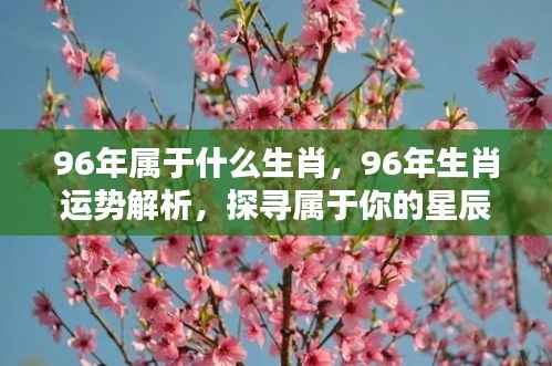 专心致志 第4页