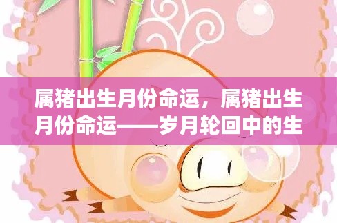 岁月轮回下的生肖猪,出生月份与命运交织的奥秘
