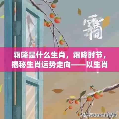 霜降生肖运势揭秘,揭秘生肖与霜降的奇妙关联,解读未来走向
