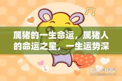 属猪人的命运之星解析与一生运势深度探索