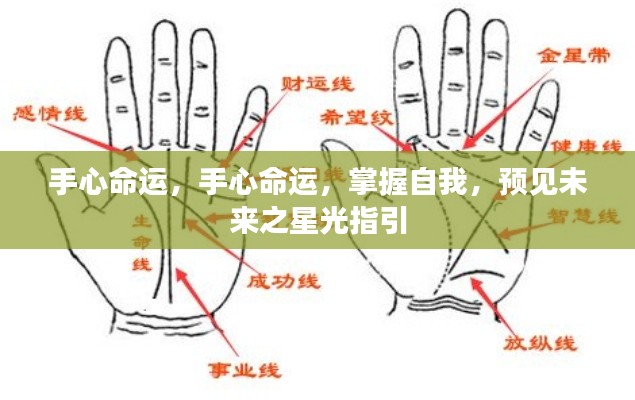 手心命运,掌握自我,星光指引未来之路