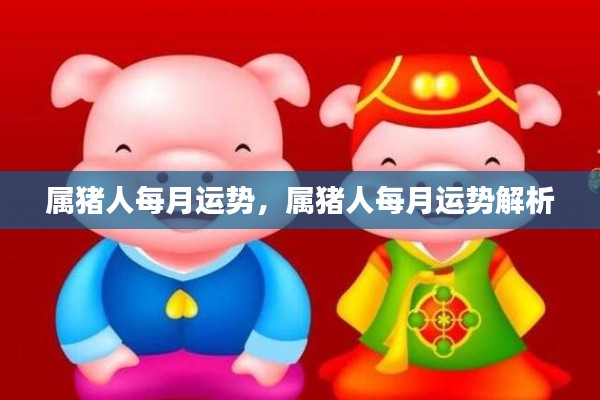 属猪人每月运势详解,全面解析属猪人的每月运势特征