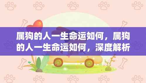 属狗人的命运深度解析,一生运势与案例洞察