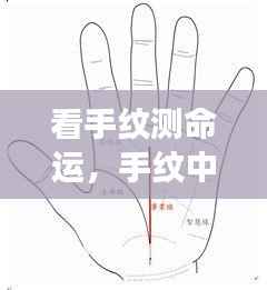 定谋贵决 第3页