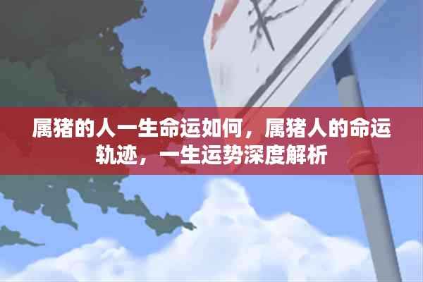 属猪人的命运深度解析,一生运势轨迹与命运展望